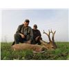 Image 7 : EHA Safari Art donates ROE DEER IN SERBIA HUNT for 2 hunters or 1 hunter & 1 observer 2026 - 27