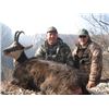 Image 10 : EHA donates CHAMOIS IN SERBIA (BALKAN or CARPATHIAN) for 2 hunters or 1 hunter & 1 observer