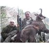 Image 11 : EHA donates CHAMOIS IN SERBIA (BALKAN or CARPATHIAN) for 2 hunters or 1 hunter & 1 observer