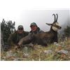 Image 12 : EHA donates CHAMOIS IN SERBIA (BALKAN or CARPATHIAN) for 2 hunters or 1 hunter & 1 observer