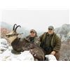 Image 6 : EHA donates CHAMOIS IN SERBIA (BALKAN or CARPATHIAN) for 2 hunters or 1 hunter & 1 observer
