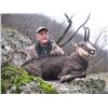 Image 7 : EHA donates CHAMOIS IN SERBIA (BALKAN or CARPATHIAN) for 2 hunters or 1 hunter & 1 observer