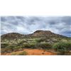 Image 13 : LAST ONE-Big Five-WHITE RHINO HUNT WITH CHEETAU SAFARIS-6 Nights 5 Days- All-inc. Val. $64,000