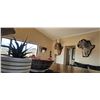 Image 14 : LAST ONE-Big Five-WHITE RHINO HUNT WITH CHEETAU SAFARIS-6 Nights 5 Days- All-inc. Val. $64,000