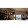 Image 16 : LAST ONE-Big Five-WHITE RHINO HUNT WITH CHEETAU SAFARIS-6 Nights 5 Days- All-inc. Val. $64,000