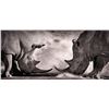 Image 5 : LAST ONE-Big Five-WHITE RHINO HUNT WITH CHEETAU SAFARIS-6 Nights 5 Days- All-inc. Val. $64,000