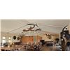 Image 9 : LAST ONE-Big Five-WHITE RHINO HUNT WITH CHEETAU SAFARIS-6 Nights 5 Days- All-inc. Val. $64,000