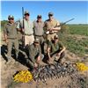 Image 1 : ARGENTINA BIRD HUNTS, 4 full days for 4 Hunters Unlimited High Volume Dove Shooting