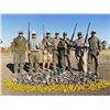 Image 3 : ARGENTINA BIRD HUNTS, 4 full days for 4 Hunters Unlimited High Volume Dove Shooting