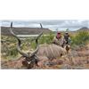 Image 10 : Geroco Safaris South Africa Hunt for 2 hunters, Includes 2 Springbuck 2 Impala,10 days 8 hunt days