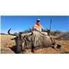 Image 4 : Geroco Safaris South Africa Hunt for 2 hunters, Includes 2 Springbuck 2 Impala,10 days 8 hunt days