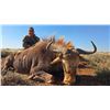 Image 6 : Geroco Safaris South Africa Hunt for 2 hunters, Includes 2 Springbuck 2 Impala,10 days 8 hunt days
