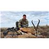 Image 8 : Geroco Safaris South Africa Hunt for 2 hunters, Includes 2 Springbuck 2 Impala,10 days 8 hunt days