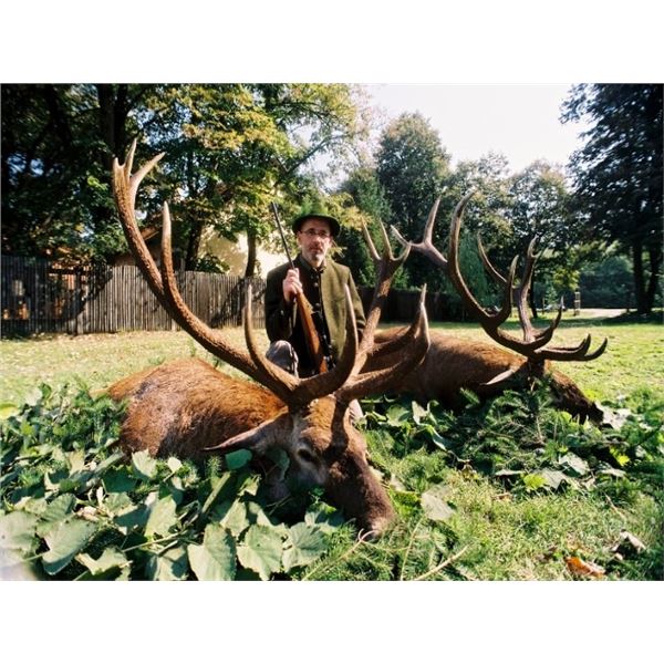 Safari Art donates  RED DEER IN SERBIA HUNT for 2 hunters or 1 hunter 1 observer Value $14,600.