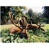 Image 1 : Safari Art donates  RED DEER IN SERBIA HUNT for 2 hunters or 1 hunter 1 observer Value $14,600.