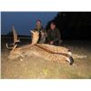 Image 5 : Safari Art donates  RED DEER IN SERBIA HUNT for 2 hunters or 1 hunter 1 observer Value $14,600.
