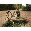 Image 7 : Safari Art donates  RED DEER IN SERBIA HUNT for 2 hunters or 1 hunter 1 observer Value $14,600.