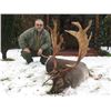 Image 9 : Safari Art donates  RED DEER IN SERBIA HUNT for 2 hunters or 1 hunter 1 observer Value $14,600.