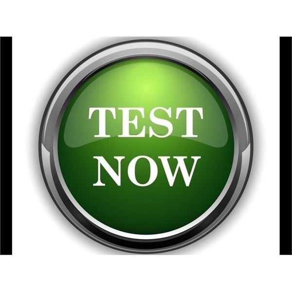 Test bid button