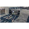 Image 1 : PALLET FORKS 42" W/ALO HOOK UP 2D