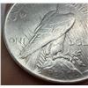 Image 3 : PEACE SILVER DOLLAR - 1924