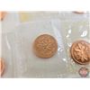 Image 6 : RCM Canada Unc One Cent (57 Coins) : Variety of Years / Styles / Types (Proof-Like) Sealed in origin