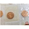 Image 7 : RCM Canada Unc One Cent (57 Coins) : Variety of Years / Styles / Types (Proof-Like) Sealed in origin