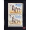 Image 4 : RCM Canada 2006 $5 Limited-Edition Stamp & Fine Silver Coin Set : Sable Island Horse and Foal (#1928