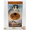 Image 7 : RCM Canada 2006 $5 Limited-Edition Stamp & Fine Silver Coin Set : Peregrine Falcon and Nestlings (#1