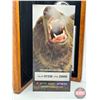 Image 6 : RCM Canada 2004 $8 Limited-Edition Stamp & Fine Silver Coin Set : The Great Grizzly (#07230 of 25888