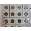Image 5 : Canada Loonie-Dollars (20) : - (6) 1992 - (2) 1994 - (1) 1995 - (11) 2005