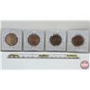 Image 6 : Canada Loonie-Dollars (4) : 2005 Terry Fox "No Grass"