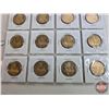 Image 7 : Canada Loonie-Dollars (36) : 2005 Terry Fox "Grass"