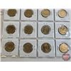 Image 3 : Canada Loonie-Dollars (20) 1992 - 2010 (Intermittent ~ See Handwritten List in Photos)