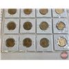 Image 6 : Canada Loonie-Dollars (20) 1992 - 2010 (Intermittent ~ See Handwritten List in Photos)