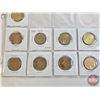 Image 3 : Canada Loonie-Dollars (15) : 2007 - 2016 (Intermittent ~ See Handwritten List in Photos)