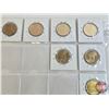 Image 5 : Canada Loonie-Dollars (15) : 2007 - 2016 (Intermittent ~ See Handwritten List in Photos)