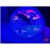 Image 3 : RCM Canada 2019 : $20 Fine Silver Coin : Reflections : Bald Eagle (COA #233) (Glow in the Dark under