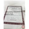 Image 6 : Ashton-Drake Galleries "A Hero to the Rescue" Baby Doll (with COA)