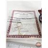 Image 3 : Ashton-Drake Galleries "Racing to the Rescue" Baby Doll (with COA)