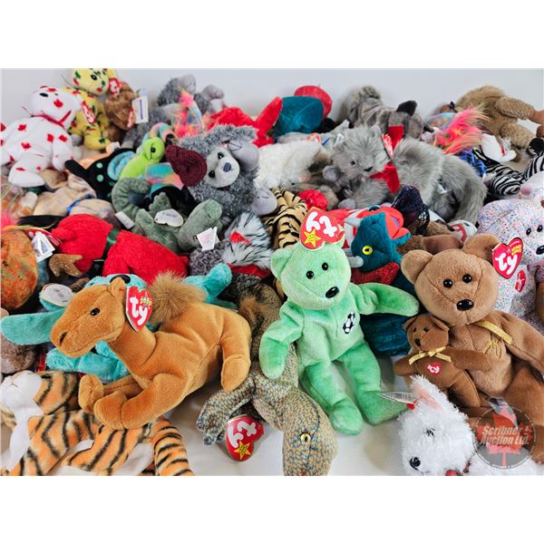 Beanie Baby Collection (66)