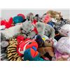 Image 4 : Beanie Baby Collection (66)