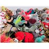 Image 5 : Beanie Baby Collection (66)