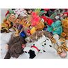 Image 6 : Beanie Baby Collection (66)