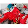 Image 8 : Beanie Baby Collection (66)