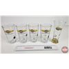 Image 1 : Jeff Gordon Nascar Drinking Glasses (5)