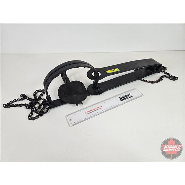 Custom Built Bear Trap (Total 23"L)