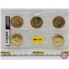 Image 1 : RCM Canada 2012 Lucky Loonie Circulation Coin 5-Pack (Loonies)