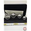 Image 1 : RCM Canada 2004 Fine Silver 4-Coin Set : The Arctic Fox One Ounce ; 1/2 Ounce 1/4 Ounce; 1/10 Ounce 