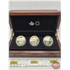 Image 1 : RCM Canada 2016 : $10 Fine Silver 3-Coin Set : Reflections of Wildlife : in Wood Display Case ~ Griz